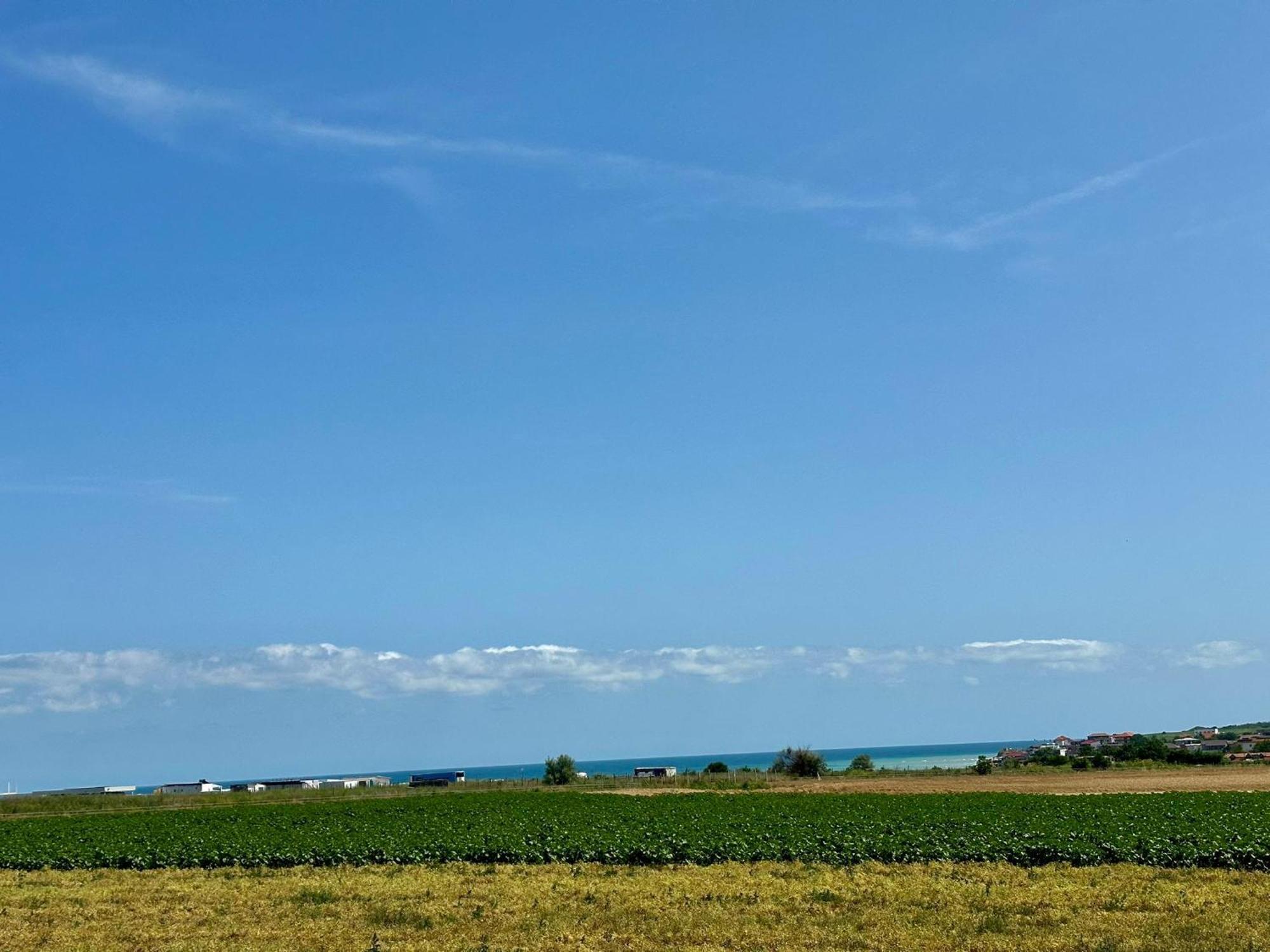 Vila Carmen Vama Veche Buitenkant foto